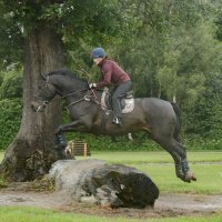 Julie Rayner (@julierayner18) 's Twitter Profile Photo Julie Rayner (@julierayner18) 's Twitter Profile Photo