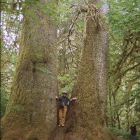 Johann Zaller (@jzaller) 's Twitter Profile