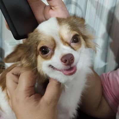 CarMeli_10's profile picture. 