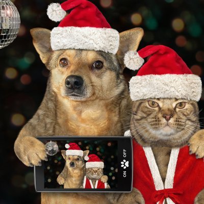 HipsterPets_com's profile picture. Visit https://t.co/Dh9fPuw4lC & check out what the best dressed pets will be wearing this season! #dogfashion #petfashion