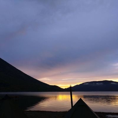 bee_keizo's profile picture. Casino Driveというバンドでマンドリンを担当しています。