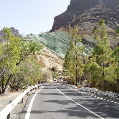 🌲Gran Canaria🌴y del Granca🏀💛💙
Piensen en los buenos momentos. Atesoren los recuerdos felices y no dejen que nadie se los arrebate.