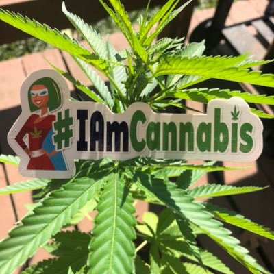 page run by @_jena4n DM to order #IAmCannabis sticker for $1.99! use code JENA to get 15% off at checkout at https://t.co/0ouWAN6RM0 #StonerFam 💚