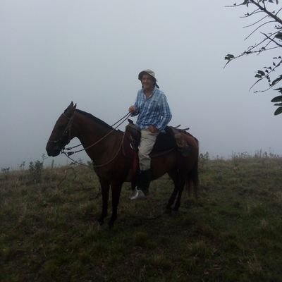 MarioGutirrezV5's profile picture. uribistaaaaa