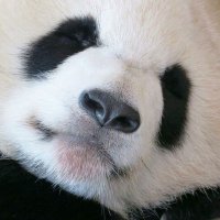 Martin Nader (@martinnader2) 's Twitter Profile