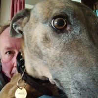 Andy Miller (@andyflyfisher) 's Twitter Profile Photo Andy Miller (@andyflyfisher) 's Twitter Profile Photo