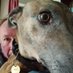 Andy Miller (@andyflyfisher) Twitter profile photo Andy Miller (@andyflyfisher) Twitter profile photo