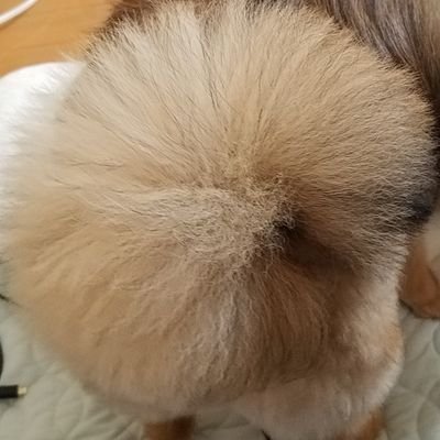 exec_rc's profile picture. 自動ドアと検知型照明は私のことを認識してください