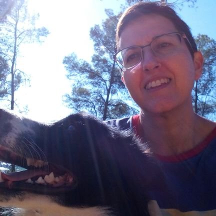 slvjoly's profile picture. Si defineixo el meu perfil en poques paraules serien: independència ||*||, educació i decreixement. 
Si insultes, et bloquejo.