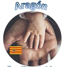 Aragón Familias Unidas ante la Pandemia
