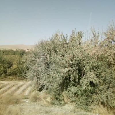 2pSelHNfGdoyxxA's profile picture. 