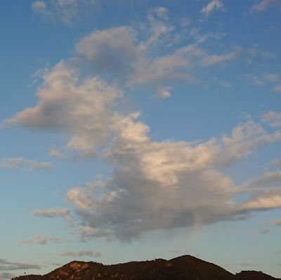 浅く広く薄い雑念で動いてるナマモノ。
漫画やゲームやらの感想書いたり好きな事に関する雑記吐いたり。尚、それも浅く広く薄い知識に基づいてるのでなんの参考にもならん模様