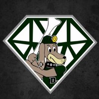 DiamondDawgsBaseball (@mvdiamonddawgs) 's Twitter Profile