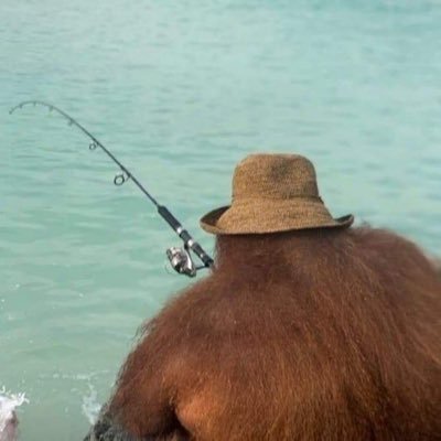 The Fishing Orangutan (@TheFishingMonke) / X