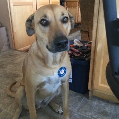 amykins66's profile picture. I'm a housewife, not a bot. And a patriot.