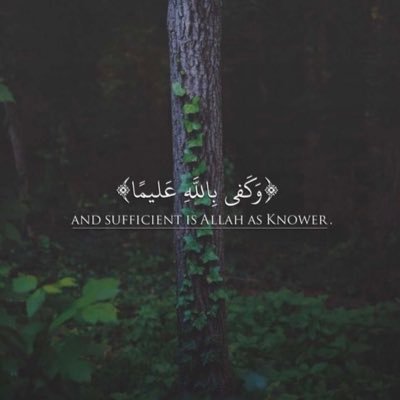 AwjjTS5ivEwQuMW's profile picture. مقيمه في الرياض