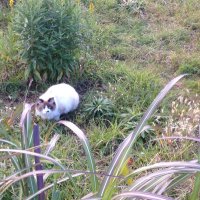 036 (@a762g) 's Twitter Profile Photo