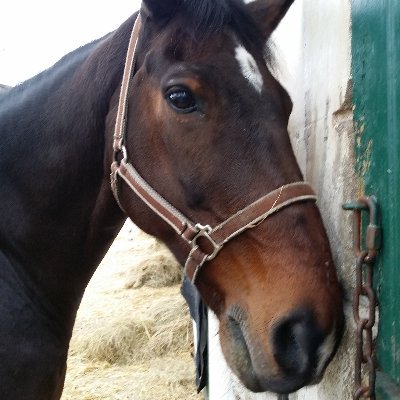 MichelM49223529's profile picture. 