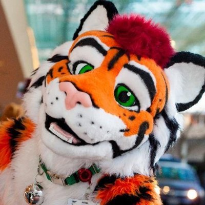 Cats rule, dogs drool! ;) Tiger, geologist, ice hockey player, hiker, & volunteer at an animal shelter. Single, but haven't really been looking. PG-13 sometimes