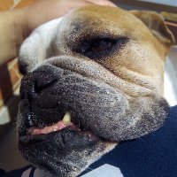 FECHC (@fechc1) 's Twitter Profile