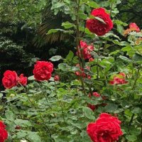 tot_2021 (@2021_tot) Twitter profile photo