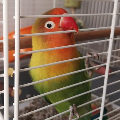 YolandaCascos's profile picture. 