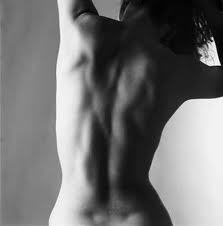 lecocons's profile picture. Salvemos la grisura.