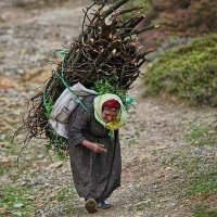 Bayram DALGA (@bayramdalga1) Twitter profile photo