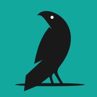 Raven Tells No Tales (@rvnsnest) 's Twitter Profile