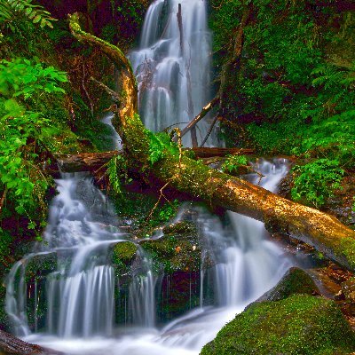 natura_design3D's profile picture. Soy delineante proyectista,fotografo de naturaleza  y ademas me gusta correr por la montaña.