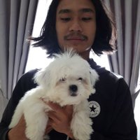 laught till we cry (@enjoytheday) 's Twitter Profile