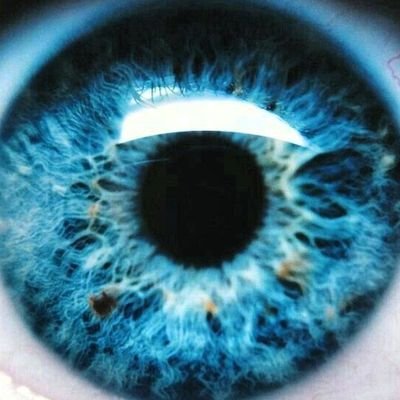 Asso43666328's profile picture. 