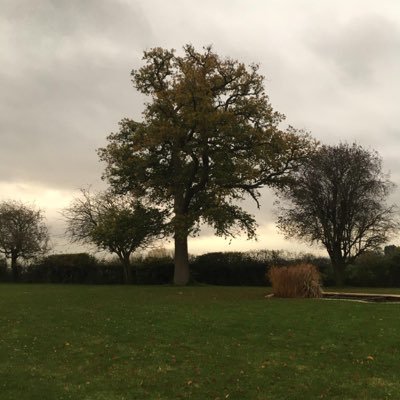 We are a family run tree surgery and landscaping company based in Berkshire.