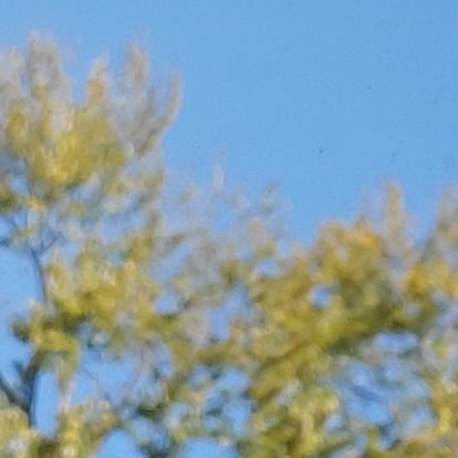 somethingalte's profile picture. ..........