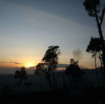 MinsafaF's profile picture. Minsafa🌷