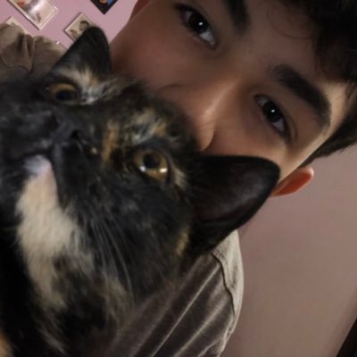 Ilkanboy1's profile picture. 