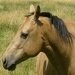 DayTrips (@kathydo18811233) 's Twitter Profile Photo DayTrips (@kathydo18811233) 's Twitter Profile Photo