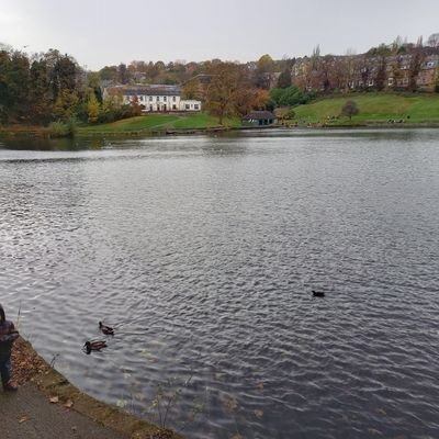 AliJan51741616's profile picture. 