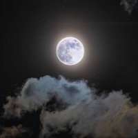 أَمَان..🇵🇸 (@em_an_y) 's Twitter Profile