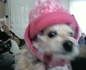 dae_droid's profile picture. If you think you can, or think you cannot -- you are right!!