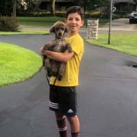 Josh K (@joshkoyfman) 's Twitter Profile