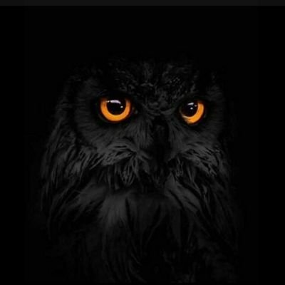 Nanaantwiricha1's profile picture. As long as I am in the world, I am the light of the world