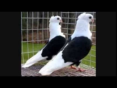 0XUKa4OhjYXojp9's profile picture. 