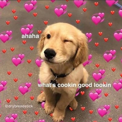 brookeeloll's profile picture. 