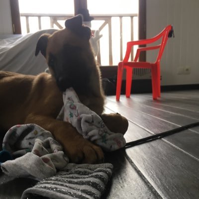 LapinMache's profile picture. 