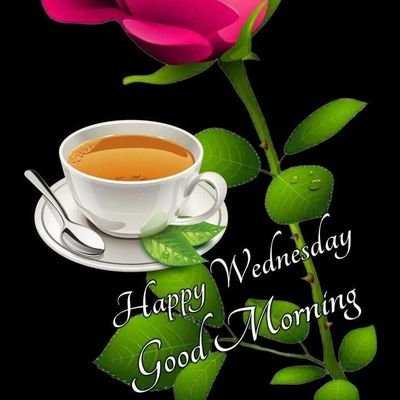 keshavhf's profile picture. 