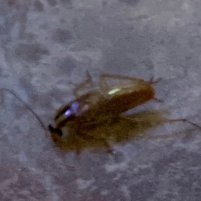 mike78555465's profile picture. 