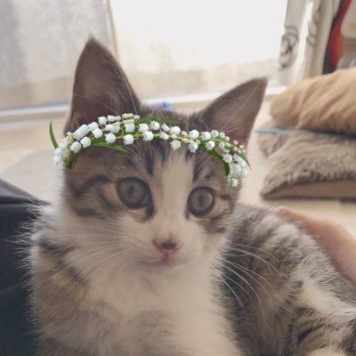 mugi_ponzu_0630's profile picture. 