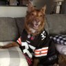 AustinFrutig's profile picture. Aircraft Maintenance Technician. Sports enthusiast. Buckeyes. Browns. Blue Jackets. Guardians. Cavaliers.