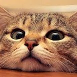 Nutrapha's profile picture. I Love Sleep.